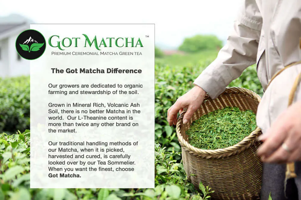 Got Matcha - Organic Matcha Caramel Apple Tea