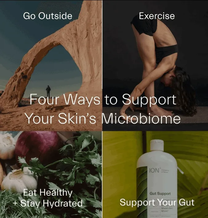 ION* Gut Support