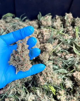 Premium Hemp Flower 'FUNDIP' CBD
